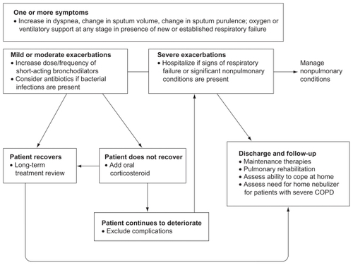 Figure 1 Treatment algorithm for patients with exacerbations.Adapted from the Global Initiative for Chronic Obstructive Lung Disease guidelines,Citation1 Anthonisen et al,Citation36 and Celli et al.Citation37