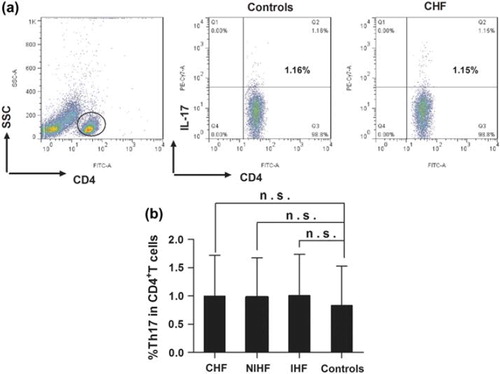 Figure 1. Frequencies of Th17 in the peripheral blood of CHF patients and non-CHF controls. (a) Representative FACS pictures from a single person in each group. (b) The percentage of Th17 cells was comparable among CHF, NIHF, IHF and non-CHF controls. n.s. = not significant.