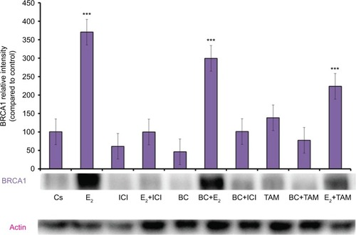 Figure 9 The effects of hormones and antihormones in combination with BC on BRCA1 expression in MCF-7 cells.
