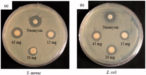 Figure 6. Antimicrobial activity of FA-AgNps against (a) Staphylococcus aureus and (b) Escherichia coli.