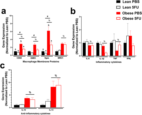 Figure 6. Skeletal muscle inflammatory gene expression. a) Relative gene expression of macrophage surface proteins, cluster differentiation (CD) 68, EGF-like module-containing mucin-like hormone receptor-like 1 (EMR1; F4/80), Integrin, alpha X (Itgax; CD11c), and Mannose receptor C-type 1 (MRC1; CD206). b) Relative gene expression of inflammatory cytokines, Interleukin (IL) 6, IL-1β, tumor necrosis factor, and interferon (IFN) γ. c) Relative gene expression of anti-inflammatory cytokines IL-10 and IL-13. Gene values were normalized to vehicle treated controls and compared to five reference targets. Values are means ± SEM. Two-way ANOVA and LSD post hoc and multiple comparisons. #Indicates main effect of 5FU. %Indicates main effect of Obese. Different letters signify statistically significant differences with an interaction. Significance was set as p < .05.