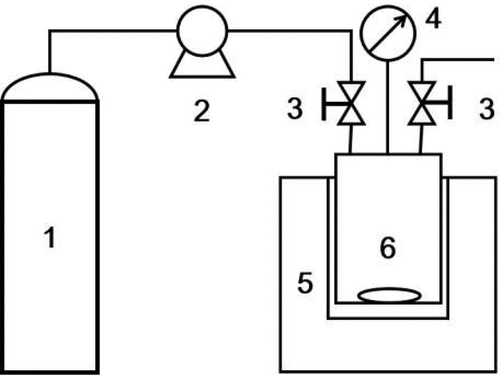 Figure 1. Schematic diagram of the apparatus used for dyeing: (1) CO2 cylinder, (2) high-pressure pump, (3) valve, (4) pressure gauge, (5) thermostat, (6) high pressure chamber.