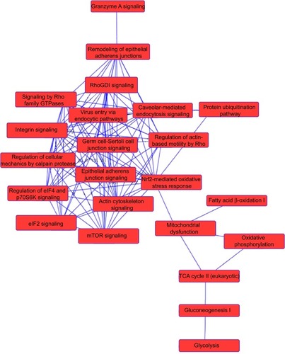 Figure 8 Proteomic analysis revealed a network of signaling pathways regulated by PLB in PC-3 cells.