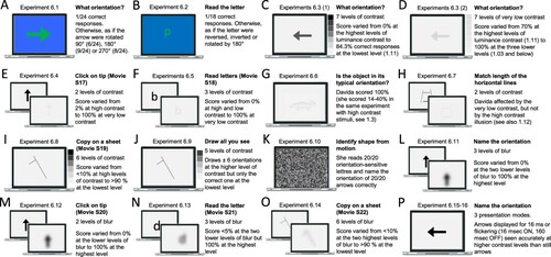 Figure 8. Stimuli, tasks and Davida’s performance for the sixth series of experiments (see Appendix 6.1–16 for detail). Movies S17–22, online, illustrates Davida performing the experiments 6.4, 6.5, 6.8, 6.12, 6.13 and 6.14.