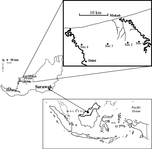 Figure 1  Location of the sampling sites between the two tributaries.