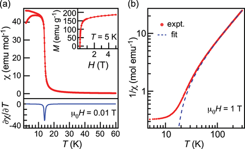 Figure 2. (a) Temperature dependence of magnetic susceptibility in ErB2 (top) and its temperature-derivative (bottom), taken at μ 0H = 0.01 T. Inset shows isothermal magnetization curve of ErB2, taken at T = 5 K. (b) Inverse magnetic susceptibility of ErB2 at 1 T. The dashed line in the figure is the fit to Curie–Weiss law in the temperature range of 200–300 K.