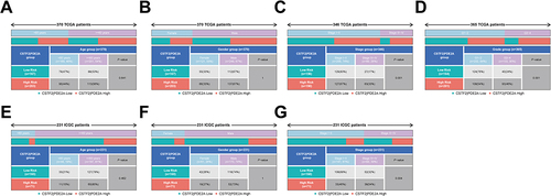 Figure 4 The expression of CSTF2/PDE2A in different groups stratified by clinical characteristics. TCGA cohort (A–D), ICGC cohort (E–G). (A and E) Age, (B and F) Gender, (C and G) Tumor stage, (D) Tumor grade.