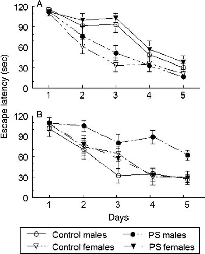 Figure 1.  Changes in spatial learning induced by prenatal stress in pre-pubertal and adult male and female rats. Pregnant rats were stressed from days 14–21 by varied forms of stress consisting of restraint for 45 min, elevated platform exposure, crowding, forced swim to which they did not adapt. Offspring were tested either at day 25 or 3 months of age. Latency to find escape platform in MWM is depicted as the average of two daily trials. Values represent mean ± SEM in groups of 10 rats. (a) Pre-pubertal rats. All groups of rats were able to learn the task on consecutive days of testing. There was a significant group × day interaction (F3,36 = 9.7, P < 0.0001). Control females showed significantly shorter latencies over the five days than control males (P < 0.01). Prenatal stress improved learning in males (P < 0.05) and impaired it in females (P < 0.01). (b) Adult rats. All groups of rats were able to learn the task on consecutive days of testing. There was a significant group × day interaction (F3,36 = 10.38, P < 0.0001). Control males showed significantly shorter latencies over the 5 days than control females (P < 0.05). Prenatal stress selectively impaired learning in males (P < 0.05) but had no effect in females.