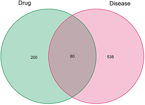Figure 3 Identification of the drug-target disease-related genes by taking an intersection of drug target genes and CAD-related genes.