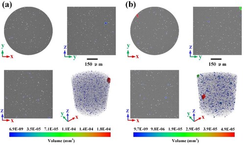 Figure 10. Distributions and sizes of HA particles within the raw filaments: (a) 10 wt% HA-PLA raw filaments and (b) 20 wt% HA-PLA raw filaments.