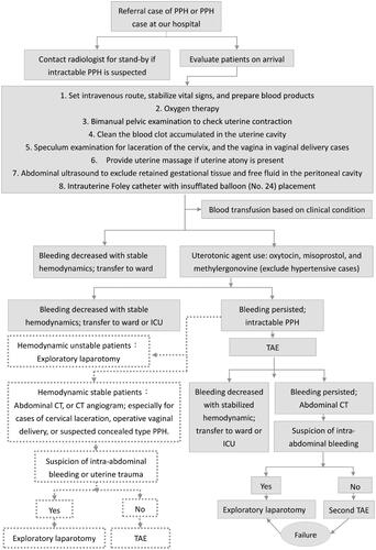 Figure 1. Flowchart of PPH evaluation and management. CT: computed tomography; ICU, intensive care unit; PPH, postpartum hemorrhage; TAE, transarterial embolization