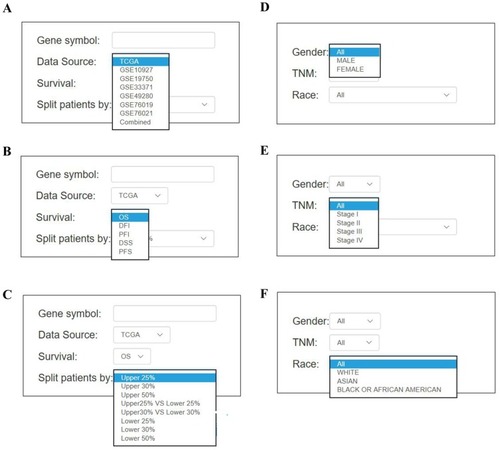 Figure 2 The screenshot of input parameter in OSacc (A–F). The options of main input parameters and clinical factors of OSacc.