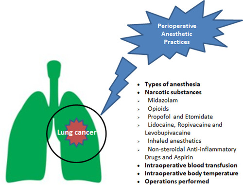 Figure 1 Association between perioperative anesthetic practices and lung cancer.