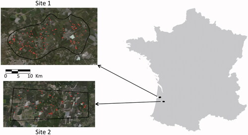 Figure 1. Location of the 2 study sites in the Landes region, in southwestern France. Red dots represent field plot positions at both sites.