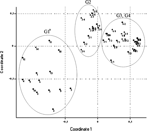 Figure 6. Result of non-metric multi-dimensional scaling (euclidean distance) of groups of chickens based on scores of slide agglutinations, gross lesions in the air sacs and peritoneum, the histological lesions of interstitial pneumonia, peribronchitis and catarrhal pneumonia, follicular reactions in the spleen and liver and isolation rates. G1 from animal number 1 to number 15, G2 from animal number 21 to number 35, G3 from animal number 41 to number 55, and G4 from animal number 61 to number 75. G1–G4, see caption to Figure 1.