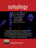 Cover image for Autophagy, Volume 5, Issue 1, 2009