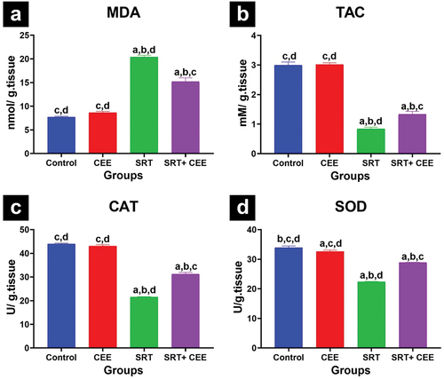 Figure 4. Impact of sertraline (SRT) and Cyperus esculentus extract (CEE) treatment on oxidative stress in rat’s brains: (a) malondialdehyde (MDA) level, (b) total antioxidant capacity (TAC) level, (c) catalase (CAT) and (d) superoxide dismutase (SOD) activity. Sertraline increased MDA and reduced TAC, CAT, and SOD, while CEE prevented the increase in MDA and decrease in TAC, CAT, and SOD in SRT-treated rats. Bars (mean ± SD) labeled with different letters indicate significant differences: asignificant variation with the control group, bwith the CEE group, cwith the SRT group, and dwith the SRT + CEE group.