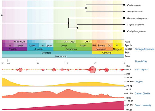 Figure 1. Time scale panel generated by the TimeTree-the time scale of life web-database. The time scale panel displays the divergence of geological time scale, earth impacts, levels of oxygen, carbon dioxide and solar luminosity. Time divergence between all the selected taxa except for F. radiculosa is displayed above the time scale panel.