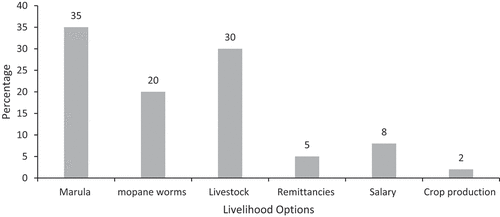 Figure 4. Contribution of livelihoods options to total household income (marula season) in ward 3, Beitbridge district.