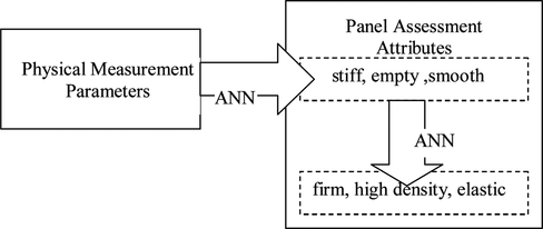 FIGURE 1 Illustration of prediction from physical measurement data to panel assessment data.