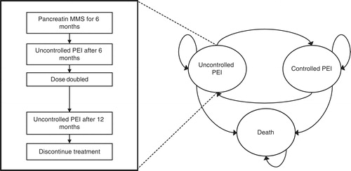 Figure 1.  Core model structure (right) and treatment algorithm (left) for patients with uncontrolled PEI in the pancreatin MMS treatment arm.