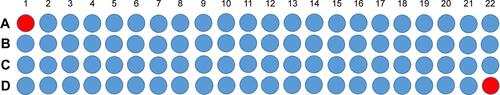 Figure S1 Layout of DKK1 peptide microarrays.Notes: DKK1 were cut into peptides which were 12-mers with 9aa overlap. All spots were organized as a 4×22 array. A1–D22 represent each peptide. The red dots (A1 and D22) in the figure are positive controls.Abbreviation: DKK1, dickkopf-1.