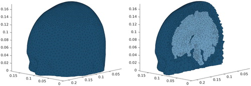 Figure 12. Realistic head model. Left: view on the boundary. Right: cut in the middle of the x-axis.