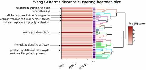 Figure 3. Functional enrichment analysis of biological processes.