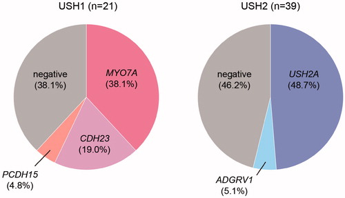 Figure 1. Frequency of causal genes in USH1 and USH2. USH1: Usher syndrome type 1, USH2: Usher syndrome type 2.