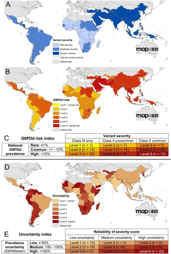 Figure 4. Maps illustrate geographic distribution of crude estimates of risk related to primaquine dosing derived by considering severity of impaired G6PD activity phenotype. Reproduced from CitationRef. 14 published under Creative Commons license.