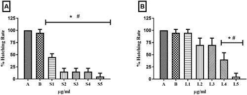 Figure 5. Zebrafish embryo hatching rate. In A, embryos treated with controls (A - system water and B – DMSO 1%) and concentrations S1 - 0.25 µg/mL, S2 - 0.5 µg/mL, S3 - 0.75 µg/mL, S4 - 1.0 µg/mL and S5 - 1.5 µg/mL of HESBg. In B, embryos treated with controls (system water and DMSO 1%) and concentrations of L1 - 0.25 µg/mL, L2 - 0.5 µg/mL, L3 - 0.75 µg/mL, L4 - 1.0 µg/mL and L5 - 1.5 µg/mL of HELBg. Data are presented as mean ± SD (n = 20/group); *p < 0.05 for group water and #p < 0.05 for group DMSO 1%. Statistical analysis was performed through one-way ANOVA followed by the post hoc Tukey test.