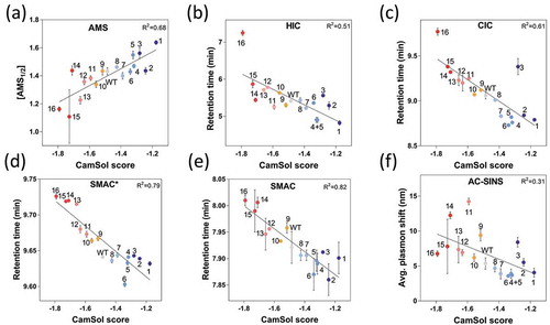 Figure 3. Developability assessment of the antibody solubility library. The variants were analyzed by: (a) Ammonium sulfate precipitation (AMS), (b) hydrophobic interaction chromatography (HIC), (c) cross-interaction chromatography (CIC), (d) stand-up monolayer chromatography* (SMAC*) using an TSK G3000 SWXL column, (e) stand-up monolayer chromatography (SMAC) using an Zenix SEC 300 column, and (f) affinity-capture self-interaction nanoparticle spectroscopy (AC-SINS), and all types of measurements are compared with combined-chain (heavy and light chains) intrinsic CamSol solubility scores (x-axis). Data points are labelled according to the mAb numbering and color coded according to their intrinsic solubility CamSol score as depicted in the color bar. The fits represent linear regressions and the corresponding R2 values are given.