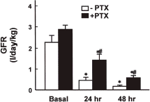 Figure 2. Effect of pentoxifylline (PTX) pretreatment on glomerular filtration rate (GFR) in cisplatin-injected rabbits. Data are means ± SEM of five animals in each group. *p<0.05 compared with the respective basal value; #p<0.05 compared with cisplatin alone (−PTX).