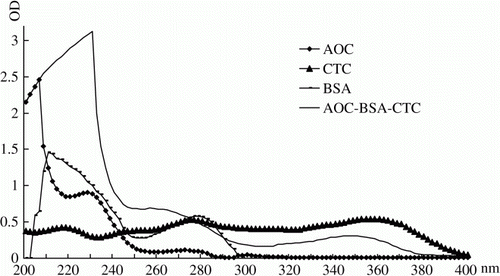 Figure 3.  Representative UV scanning diagrams of AOC, CTC, BSA and AOC-BSA-CTC.