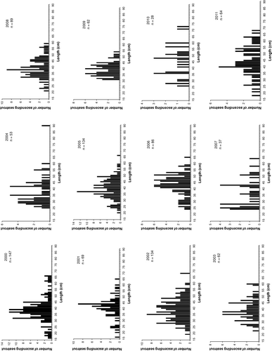 Figure 5. Annual length distribution of ascending anadromous brown trout captured in the trap in the River Guddalselva in the years 2000–2011.