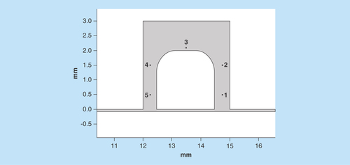 Figure 7.  Comparative analysis of the velocity magnitude and Reynolds number of the flow along the sample.Point placement along the sample for further analysis.