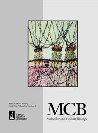 Cover image for Molecular and Cellular Biology, Volume 26, Issue 8, 2006