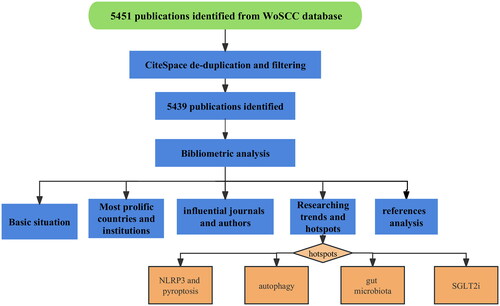 Figure 1. Workflows of this study.