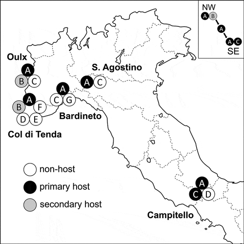 Figure 1. Distribution of available Myrmica ant species and their use as primary or secondary hosts (sensu Thomas et al. Citation2005a) by Maculinea rebeli at five selected Italian sites. The observed trend in host shifts along the Italian peninsula is shown in the rectangle on the upper right corner of this picture. A = M. schencki; B = M. lobicornis; C = M. scabrinodis; D = M. sabuleti; E = M. lobulicornis; F = M. sulcinodis; G = M. ruginodis.