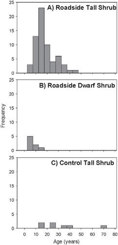 FIGURE 4. Alder age distributions at (A) roadside tall shrub tundra sites, (B) roadside dwarf shrub sites, and (C) control tall shrub sites. Alders did not occur in the sampled plots at undisturbed dwarf shrub sites. Bars indicate number of individual alders in each age category.