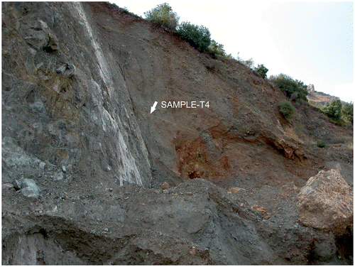 Figure 9. The Gözene Fault forms the contact between the serpentinites in the footwall (left) and the slope deposits on the hanging wall (right). Slickenlines on the fault surface indicate a pure normal offset. Dashed lines indicate different parts of the slope waste deposit having different attitudes, possibly indicating two different earthquakes. The arrow shows location of sample within the slope deposits for 14C dating.