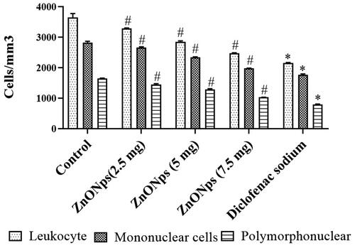 Figure 8. Effect of ZNO-NP on total leukocytic mononuclear and polymorphonuclear cell recruitment into the peritoneal cavity of mice. All values are illustrated as mean ± SD of six animals. The statistical significance level was calculated by one-way ANOVA followed by the Dunnet’s post hoc test; note: #p < .05 when compared with control group and *p < .05 when compared with ZnONPs administered groups.