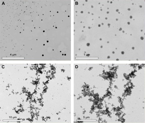 Figure 2 STEM images of pure insulin and insulin-conjugated SWCNTs.Notes: STEM images of insulin stained with phosphotungstic acid with (A) lower and (B) higher magnification. STEM images of insulin-conjugated SWCNTs stained with phosphotungstic acid with (C) lower and (D) higher magnification.Abbreviations: STEM, scanning transmission electron microscopy; SWCNTs, single-walled carbon nanotubes.