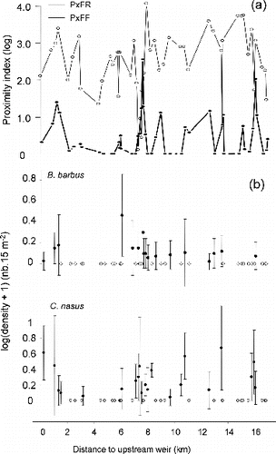 Figure 3. (a) Proximity index to patches of feeding habitat (PxFF) and resting habitat (PxFR), plotted versus their minimal longitudinal distance to upstream weir. (b) Longitudinal distribution of the mean densities (±SD) of >0+ barbel and nase in the 48 patches of feeding habitat, plotted versus their minimal longitudinal distance to upstream weir. White dots indicate patches with null density.