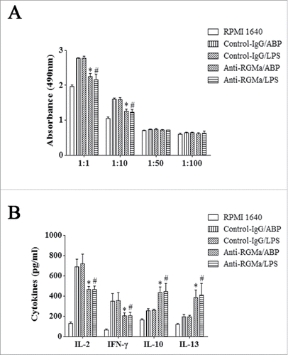 Figure 9. Induction of T cell proliferation and differentiation by DCs treated with RGMa-neutralizing antibodies. (A) Absorbance values represent T cell proliferation. CD4+T lymphocytes were co-cultured at various ratios with DCs for 72 h. (B) Cytokine secretion into the supernatant of a co-culture environment represens T cell differentiation. CD4+T lymphocytes were co-cultured with DCs at a ratio of 1:1 for 72 h. Cytokine secretion, including IL-2, IFN-γ, IL-10, and IL-13, was determined by ELISA. Data represented the mean ± SEM of three independent experiments. *P< 0.05 vs. Control-IgG/ABP group.#P < 0.05 vs. Control-IgG/LPS group