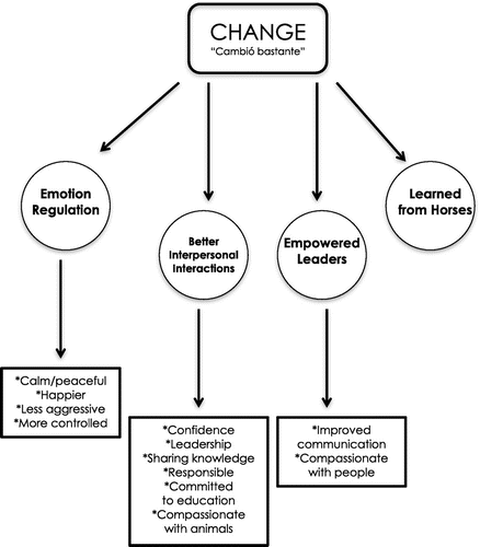 Figure 4. Themes from family members’ focus groups.