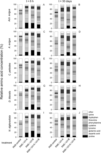 Fig. 7. Temporal variations in relative free amino acid compositions of (A, B) Achnanthes exigua, (C, D) Amphora exigua, (E, F) Cocconeis peltoides, (G, H) Diploneis littoralis and (I, J) Navicula digitoradiata at PAR, PAR+UV-A, PAR+UV-B and PAR+UV-A+UV-B during 6-h (A, C, E, G, I) and 30-day (B, D, F, H, J) experiments.