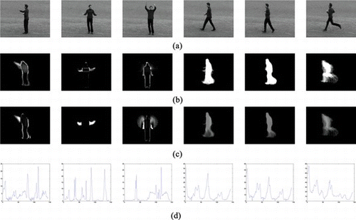 FIGURE 4 Template construction using activities from the KTH database. (a) Representative frames, (b) horizontal MoT templates, (c) vertical MoT templates, (d) angular representation of MoT templates in a combined feature vector. (Figure is provided in color online.)