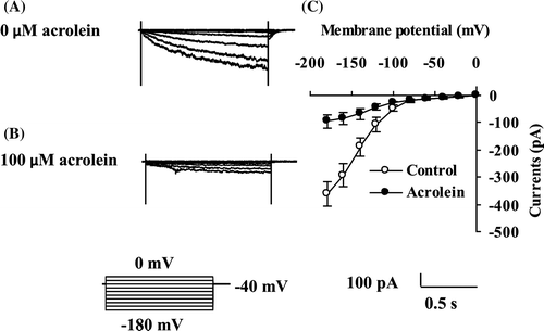 Fig. 2. Inhibition by acrolein of Kin channel currents in GCPs of A. thaliana.(A) and (B), Whole-cell recordings of Kin channel currents in GCPs treated with 0 μM acrolein (A) or with 100 μM acrolein (B). (C), Steady-state current-voltage relationship for acrolein inhibition of Kin channel currents in GCPs as recorded in A and B. The voltage protocol was stepped up from 0 mV to –180 mV in 20-mV decrements (holding potential, –40 mV). GCPs were treated with acrolein for 2 h before recordings. Each datum point was obtained from at least seven GCPs. Error bars represent SEM.