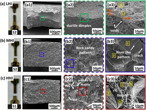 Figure 11. (a)–(c) Fractured samples; SEM images of fractured tensile samples: LHI (a1–a3), MHI (b1–b3), and HHI (c1–c3).